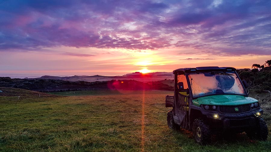 Field in sunset