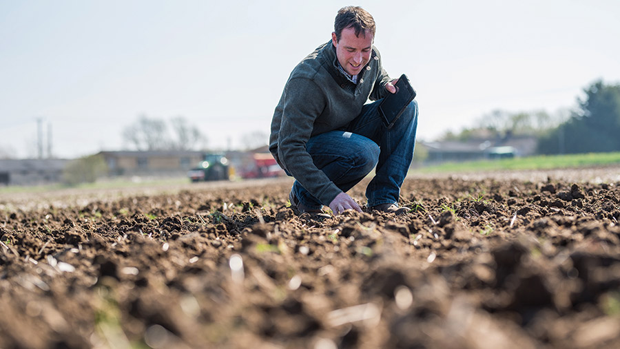 Richard Ling inspecting soil