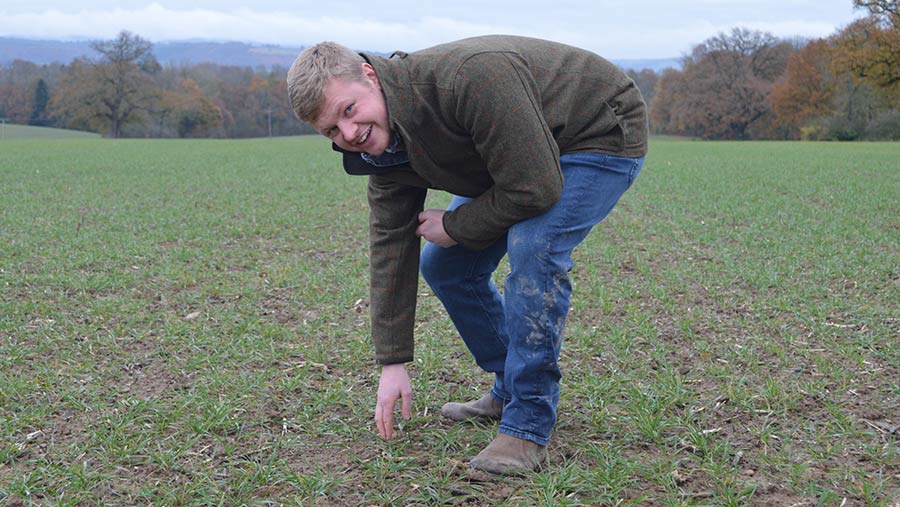 Tom Carr in field with winter wheat