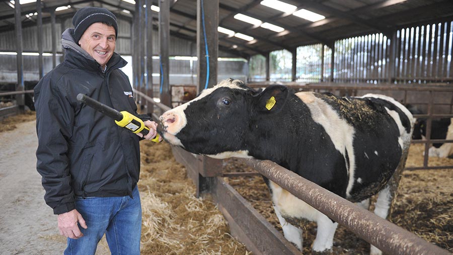 Geraint Evans with EID reader and cow