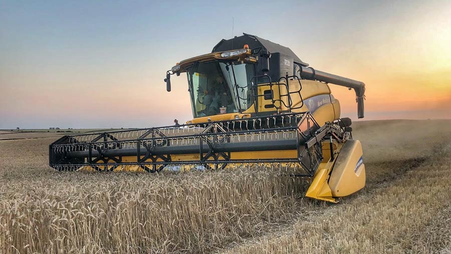 Harvesting wheat at Mark Stubbs' farm