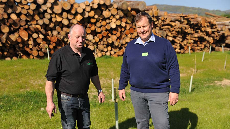 Huw Owen and Geraint Jones in front of a timber stack