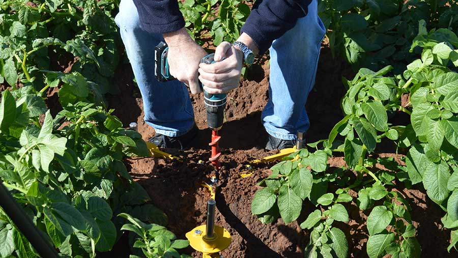 Soil Moisture Sensor Monitor Plants Moist Testing Tool Soil
