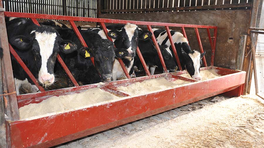 What's in your livestock shed? visits a Powys beef finisher - Farmers ...