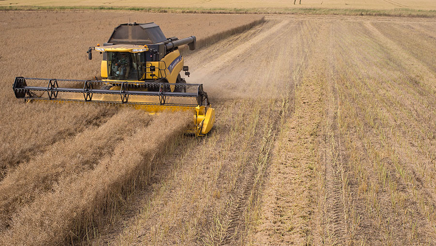 Harvesting oilseed rape