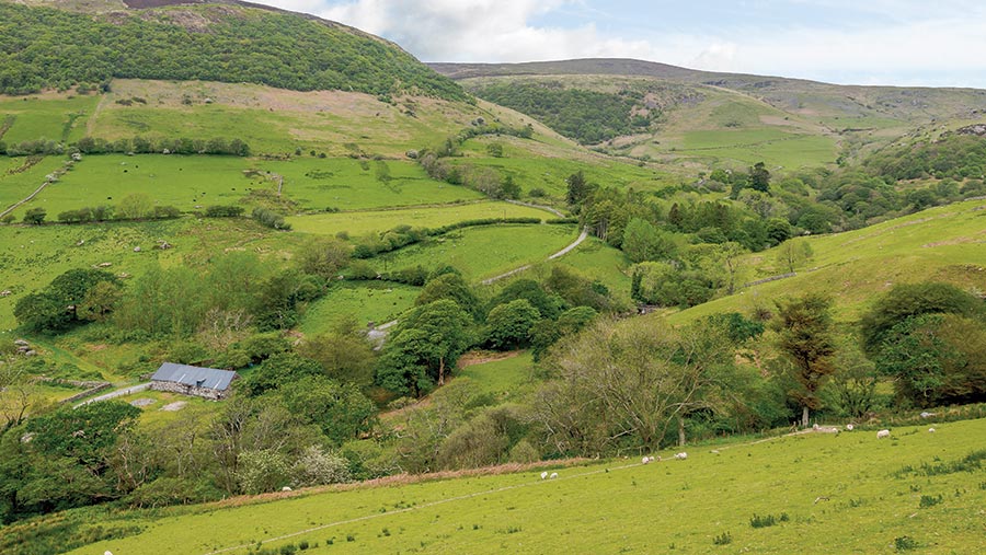 Gwastadfryn farm 