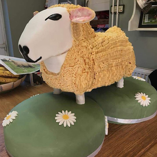 Sheep cake