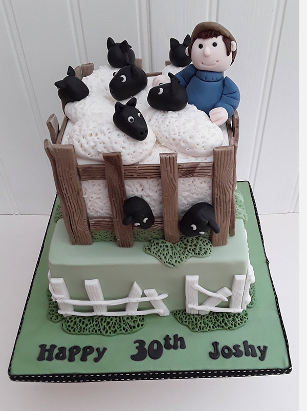 Sheep and farmer in pen cake
