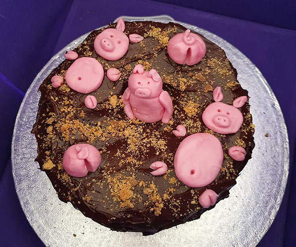 Pigs in mud cake