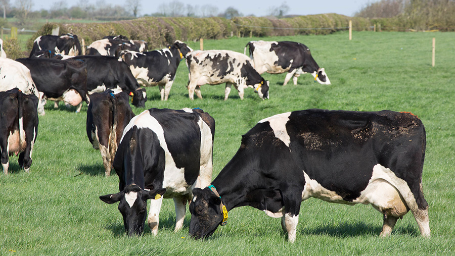 How NZ farmer uses plant hormone spray to raise grass yields by 30% ...