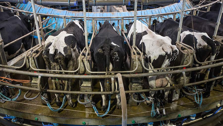 Stable dairy profits forecast for 2020-21 - Farmers Weekly