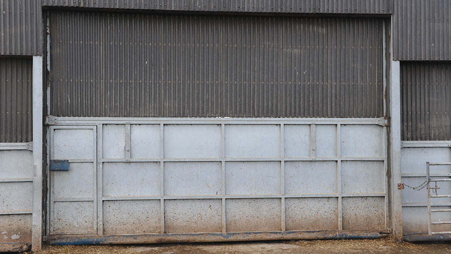 Automatic doors of dairy shed