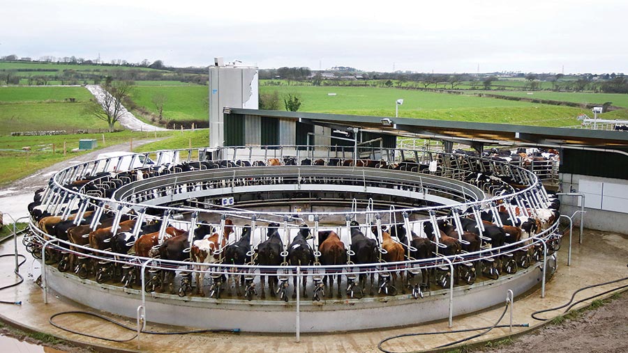 Johnjo Roberts and Mat Venables roofless rotary parlour
