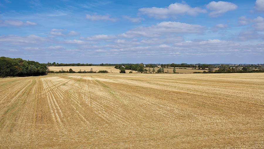 Land on Berwick Hall Farm Estate