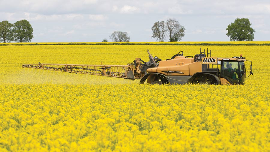 Spraying oilseed rape