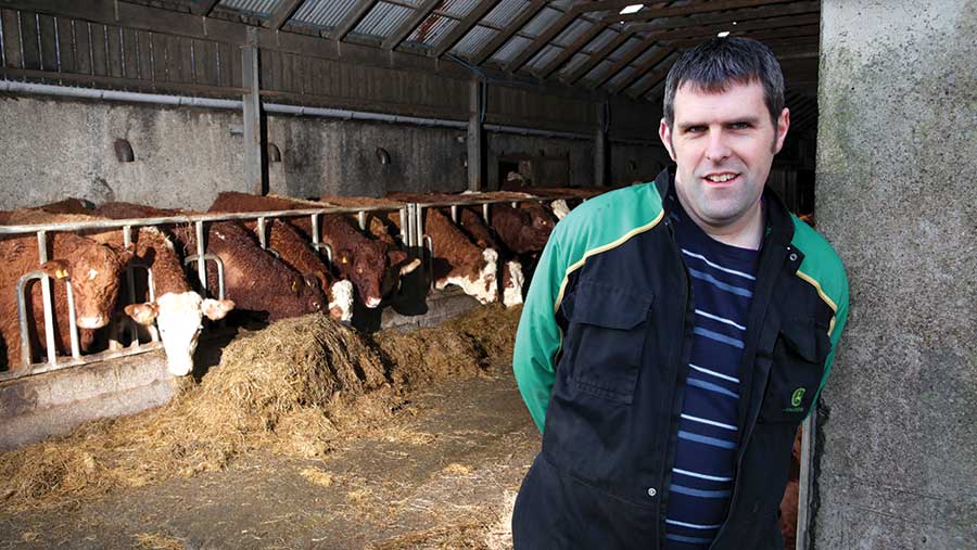 Farmer Focus: Calving all over bar the shouting - Farmers Weekly