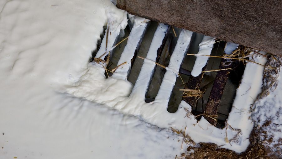 Milk flowing down drain into slurry store © Tim Scrivener