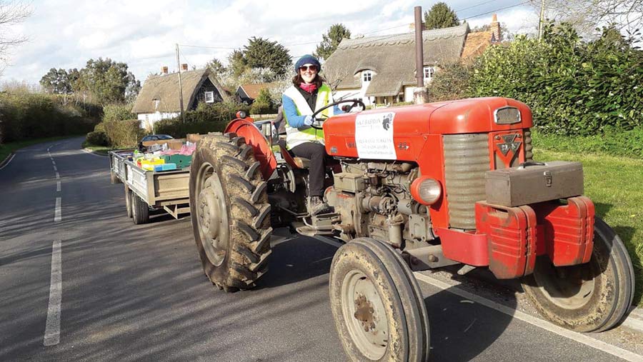 Sarah Barron on a delivery run with the 1963 Massey © G & J Barron Farms