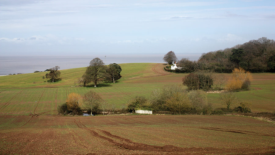 View of fields, trees and forest