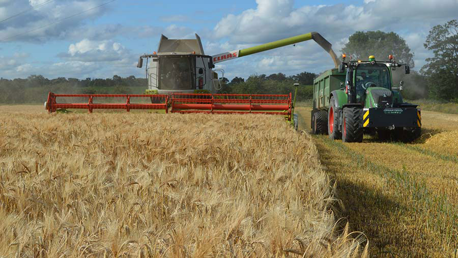 Winter barley being harvested