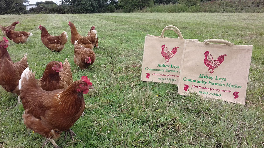 Chickens in field with farmers market bags