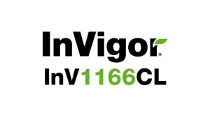 Invigor 1166CL green logo