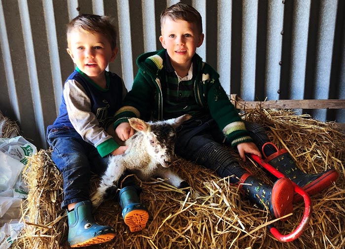 Jasper and Chester with a lamb sitting on bales