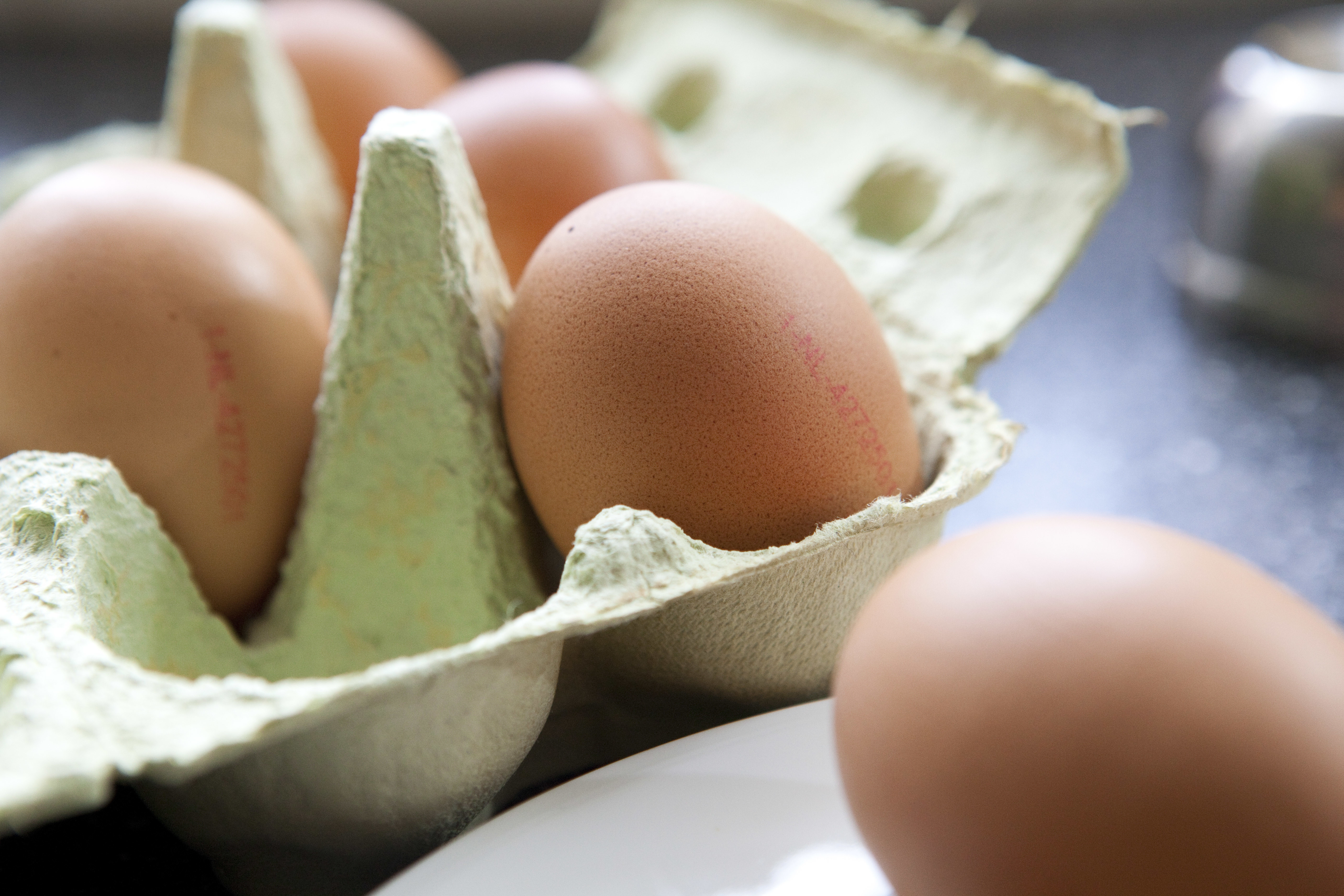 Recyling egg shells, what a cracking idea. Photo: Jan Willem Schouten