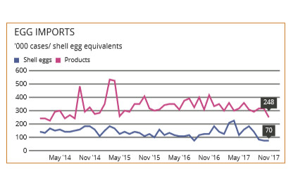 Markets: UK laying flock approaches 40 million layers