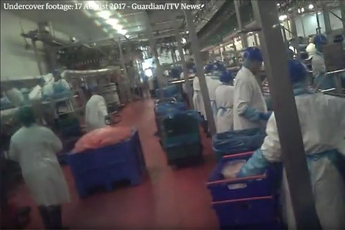 2 Sisters accused of manipulating use-by dates