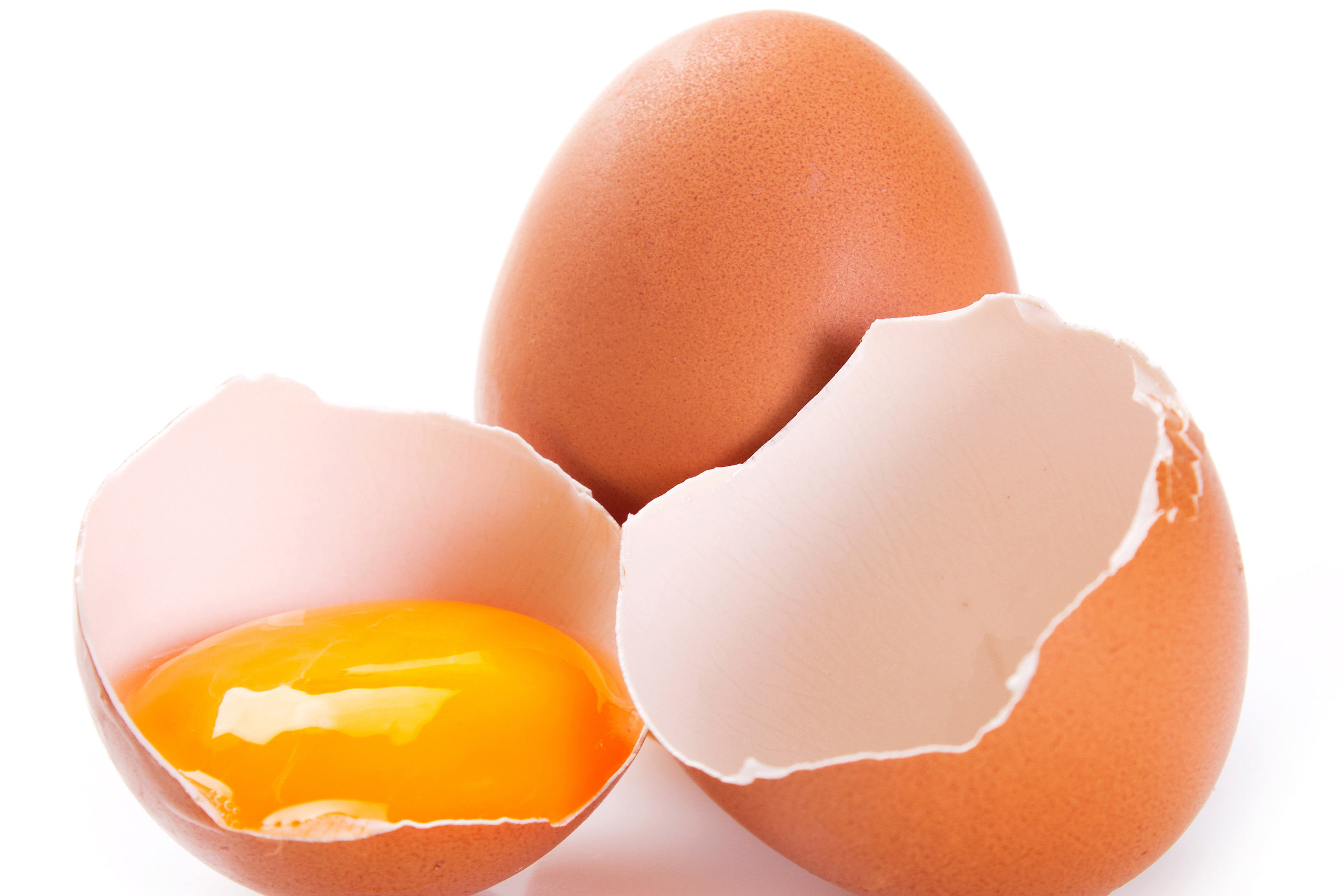 Photo: Shutterstock