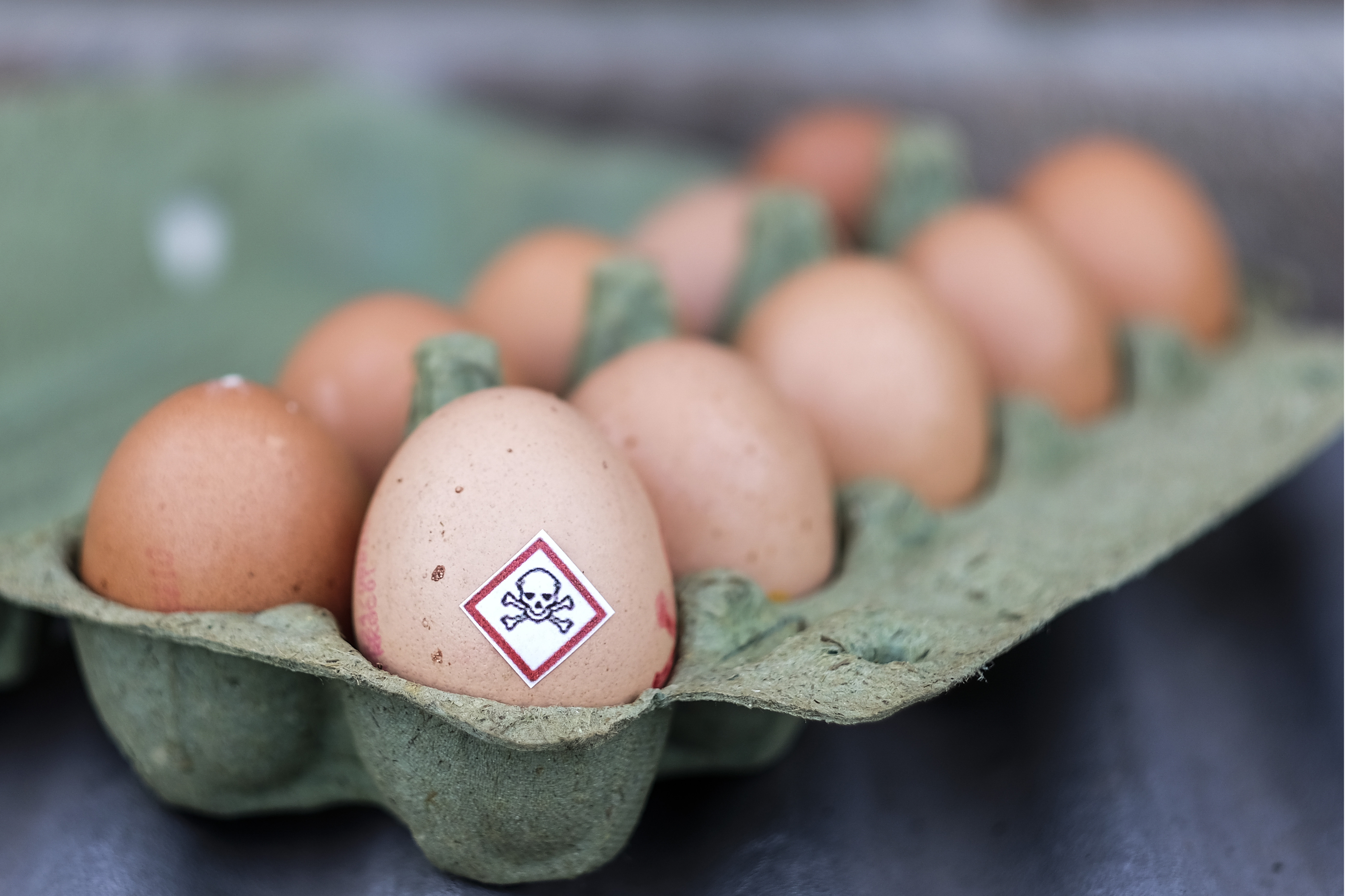 Testing of British eggs has found no evidence of fipronil. Photo: Isopix/REX/Shutterstock