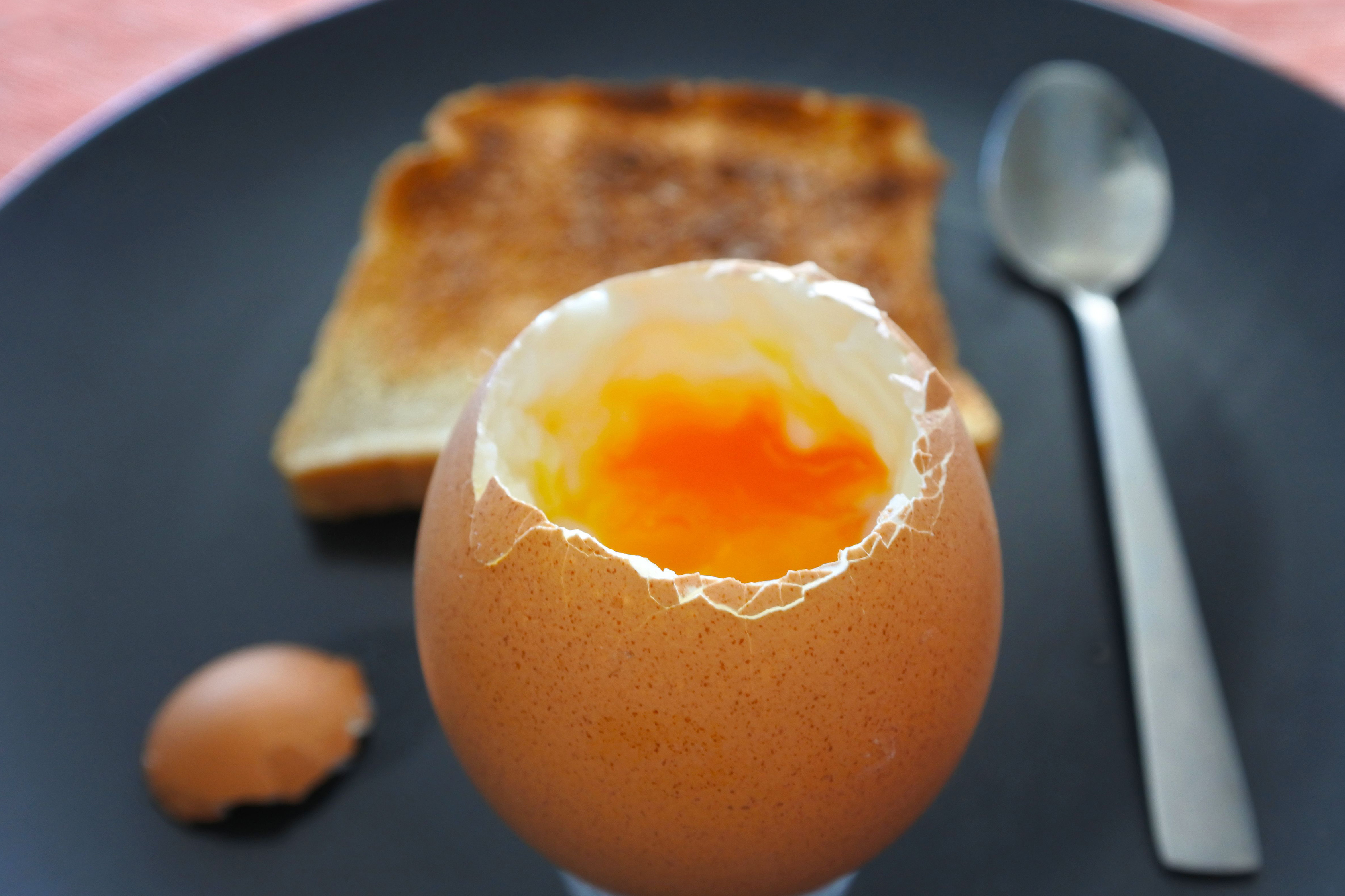 The UK and 6 other countries made up 75% of egg production in Europe last year. Photo: Chameleons Eye/Rex/Shutterstock 