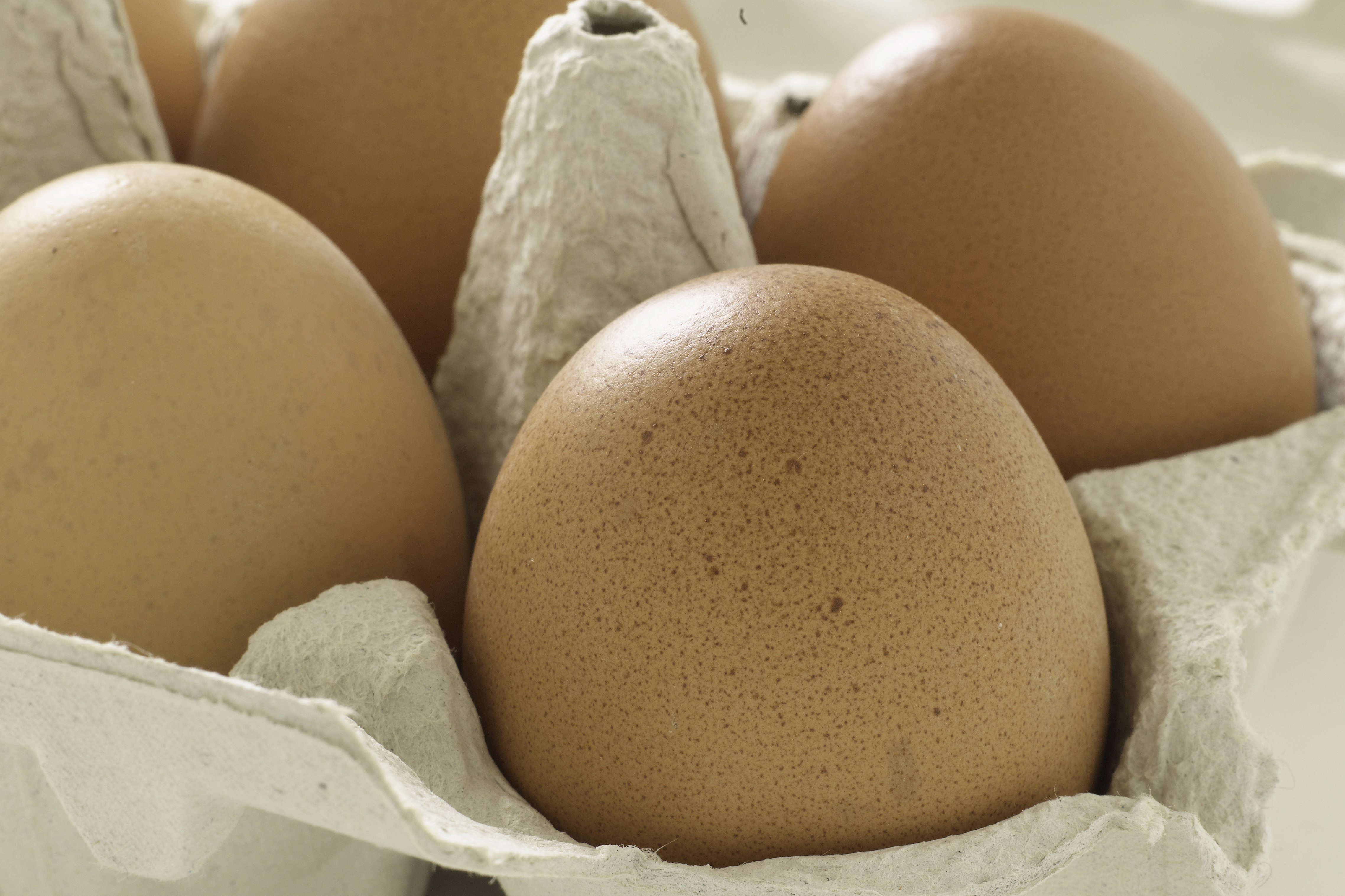 The egg labelling law allows consumers to clearly see if the eggs they’re buying have been laid in a cage, barn, free range or organic system. Photo: Food and Drink/REX/Shutterstock