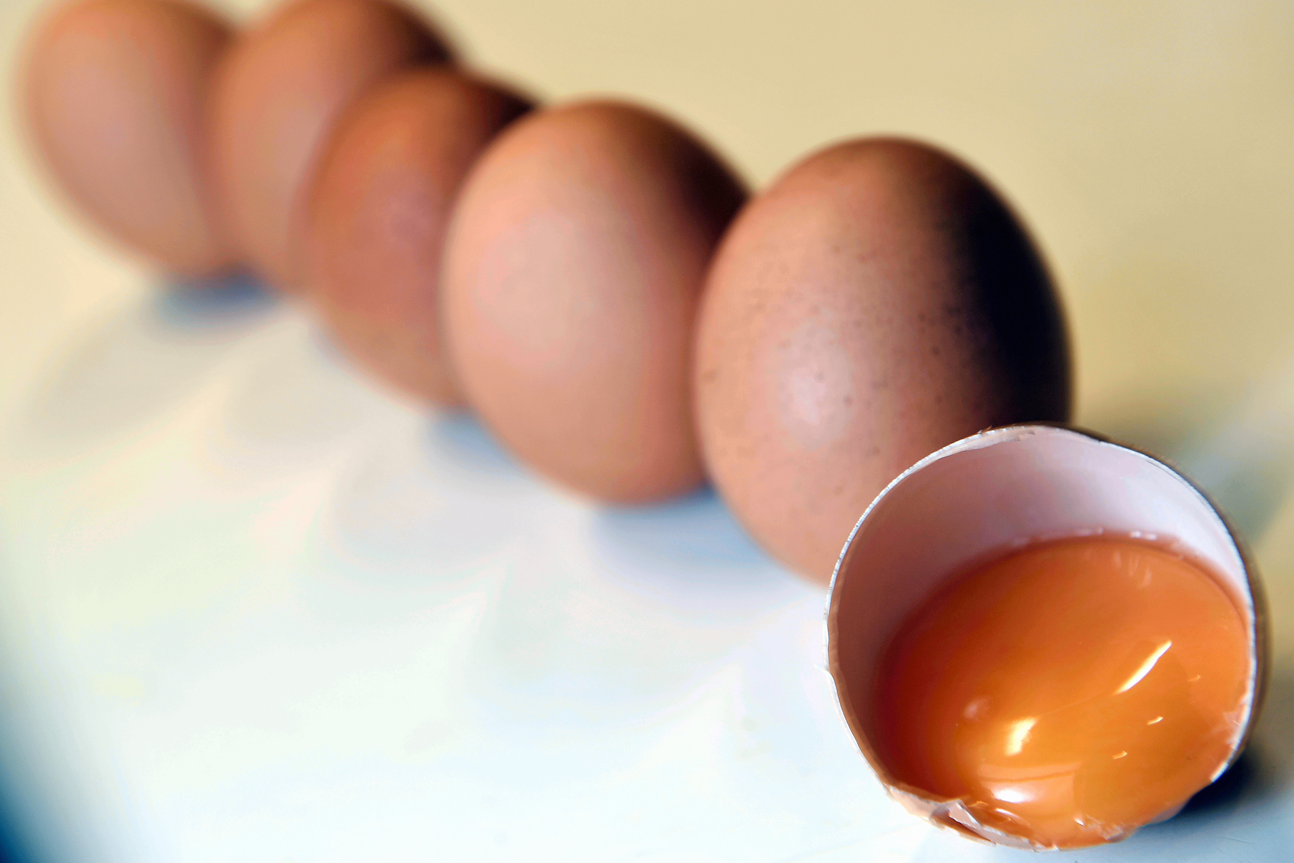 Just 2/5 of shoppers say they would be less likely to support a retailer if they used imported eggs in their products. But 85% would feel reassured if they saw the “Made with British Lion eggs” logo on packaging. Photo: Belga via ZUMA/REX/Shutterstock