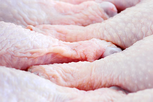 The study involved 339 samples of raw chicken (whole or portions) that were collected between the beginning of September and end of October last year from retailers in England, Wales, Scotland and Northern Ireland. Photo: Monkey Business Images/REX/Shutterstock
