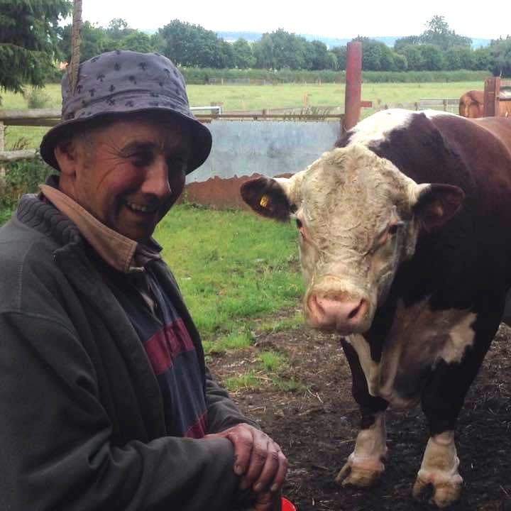 Roger Bowen with a bull