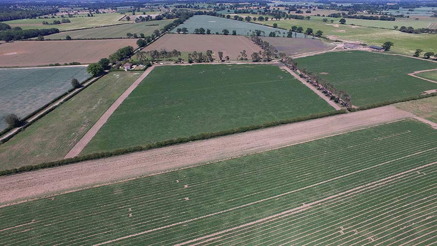 Land at Firsfield Farm
