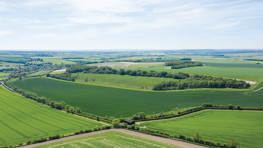 Manor Farm