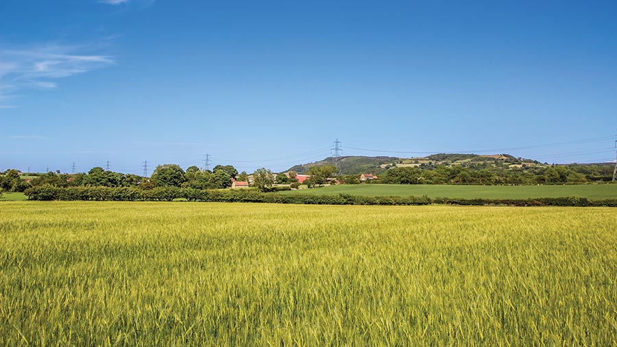 Village Farm