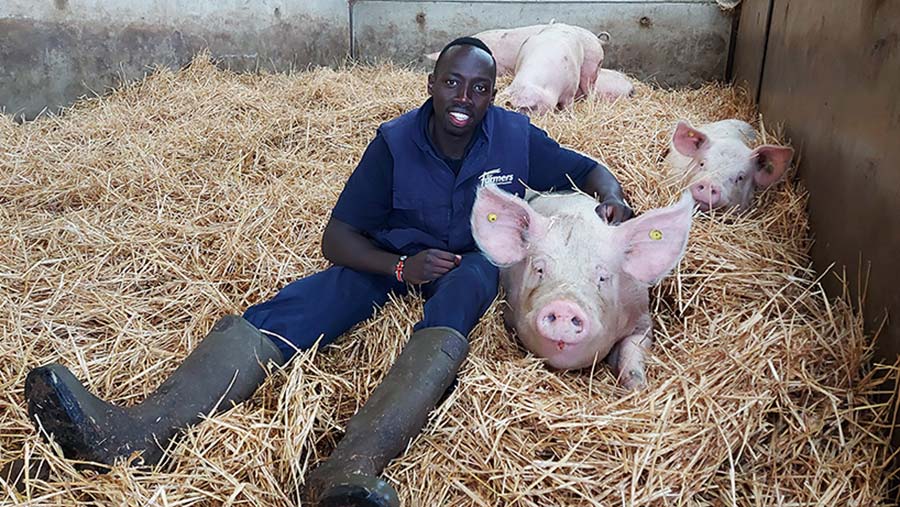 Flavian Obiero with his favourite sow called "Nibbles" © Oli Hill