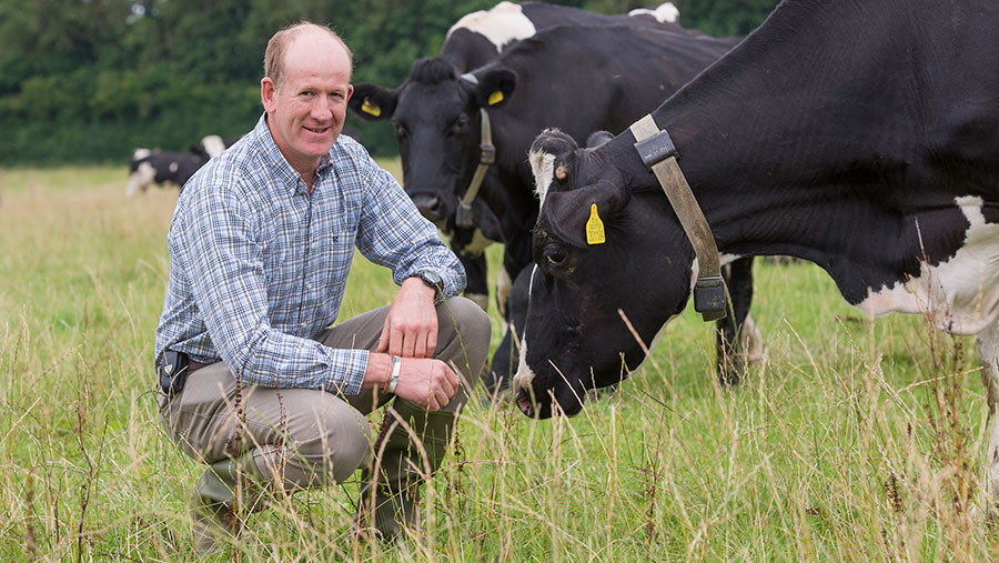 Tim Downes in field with cows