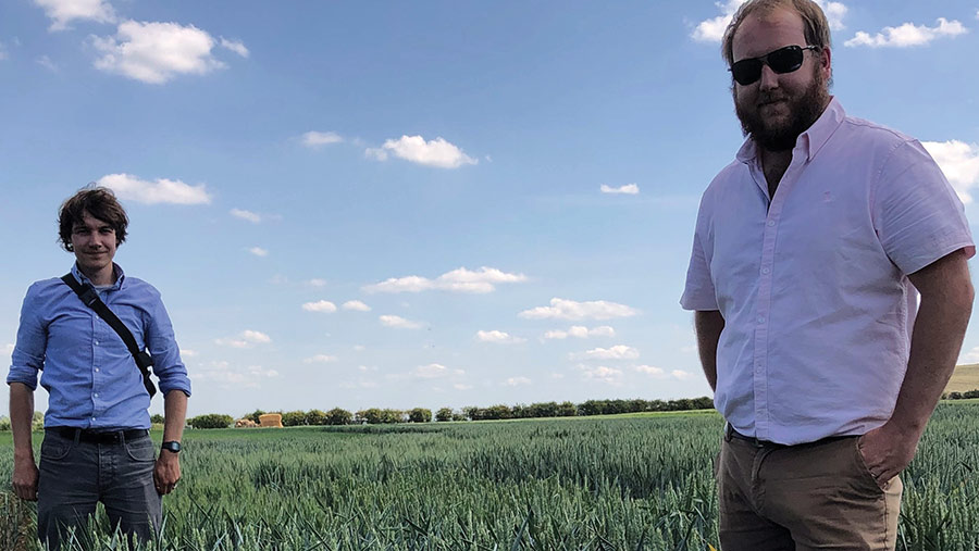 Two men in a wheat field