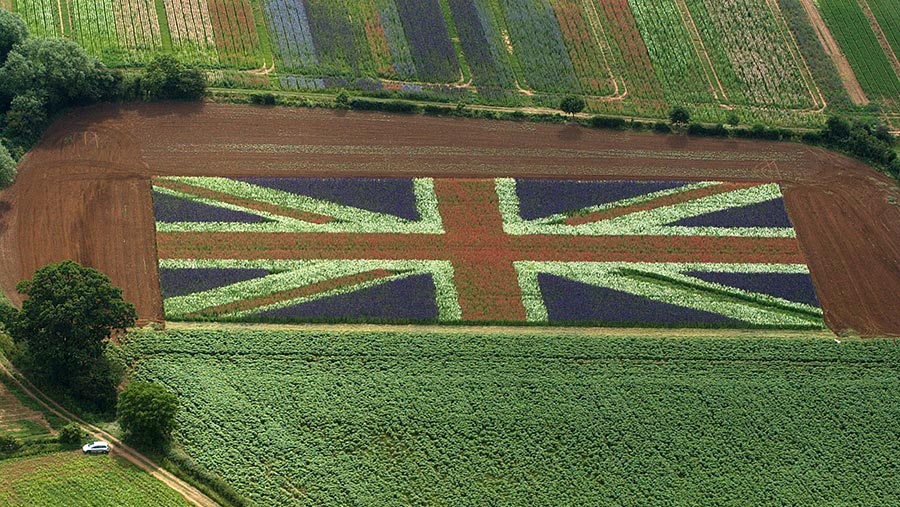 Farms in england. Сельскохозяйство в Великобритании. Растениеводство Великобритании. Земледелие в Британии. Кадастр Великобритании.