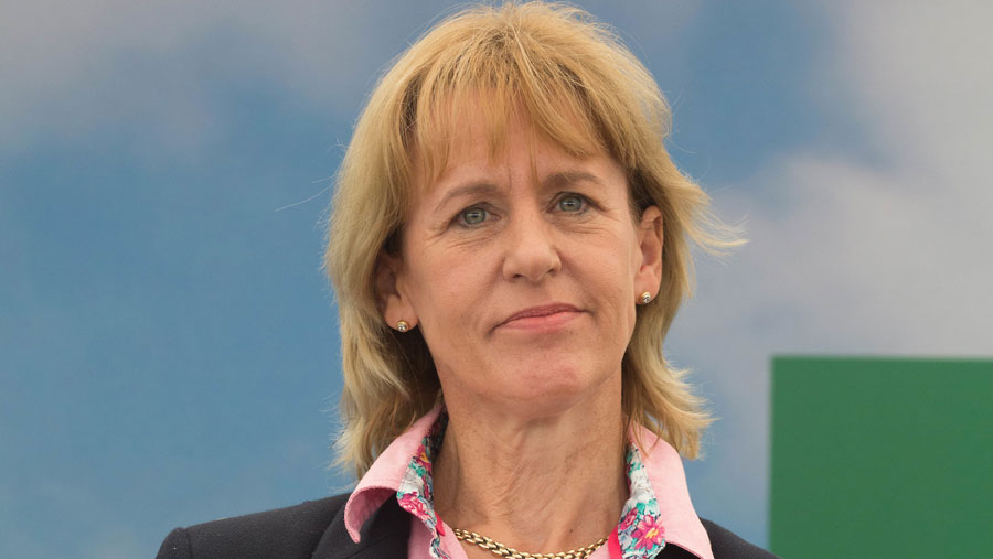 Minette Batters © Tim Scrivener