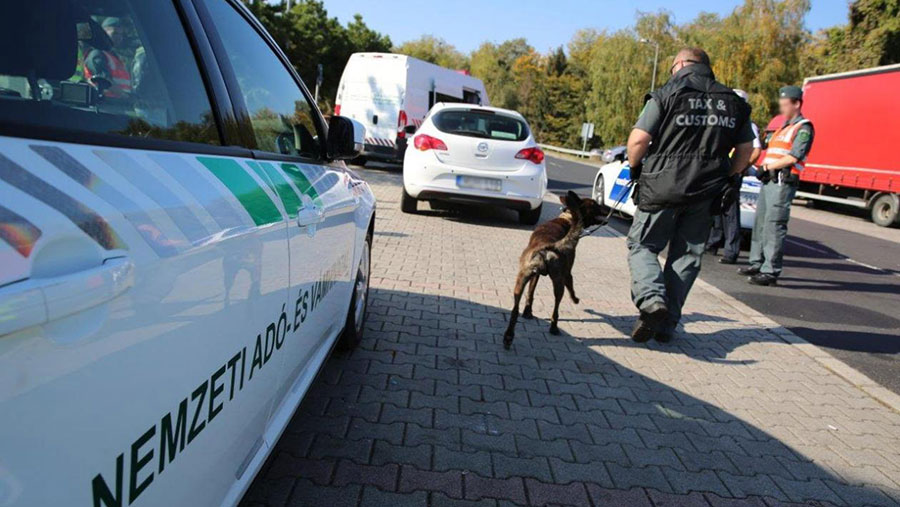 Dogs and Interpol staff doing inspection 