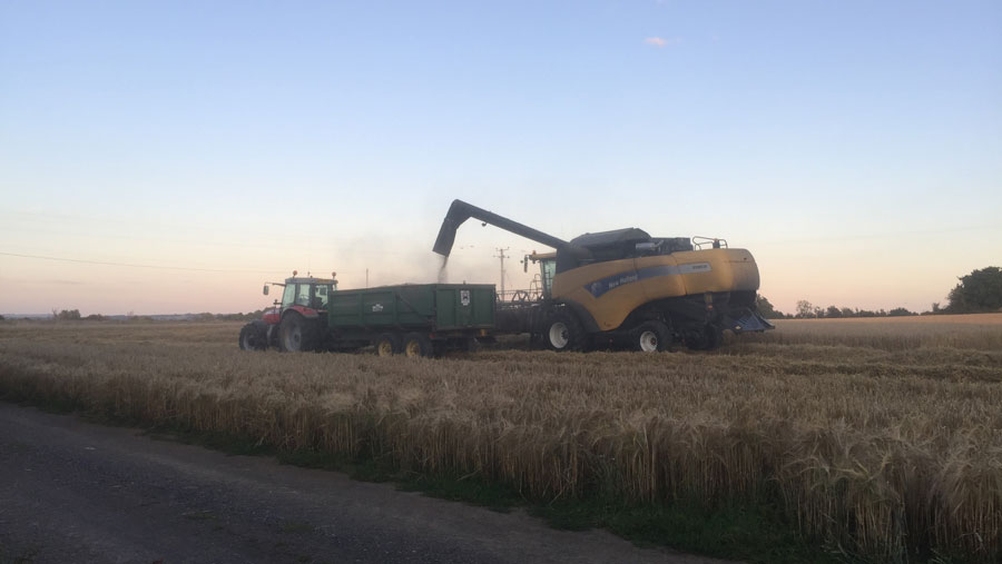 Harvest at dusk