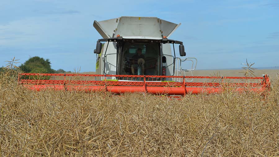 Cutting OSR