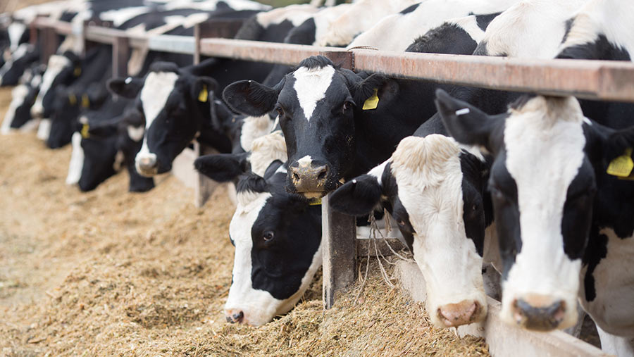 Dairy contract disputes erupt as pain of price cuts deepens - Farmers ...