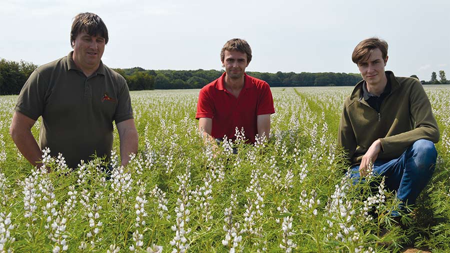 Edward, Steven and Ryan Batchelor in field of lupins